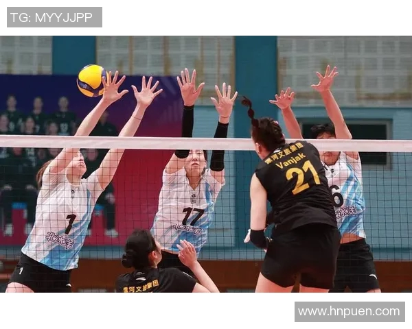 排球节奏排行榜揭晓北京排球队荣获第五名佳绩