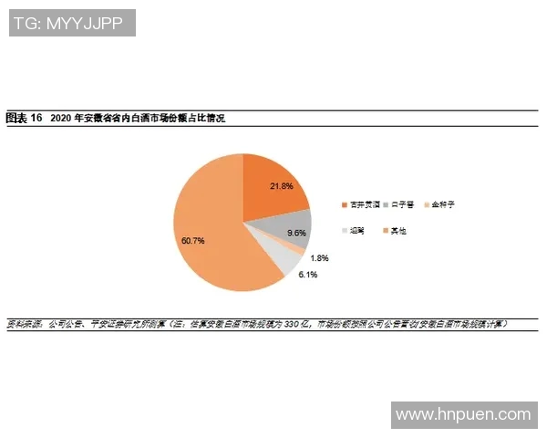 杭州排球队战术变革引发热议解析新策略与未来发展方向